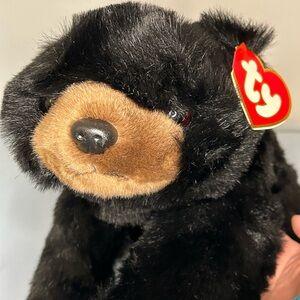 Ty Black Plush Bear with Gold Accents
